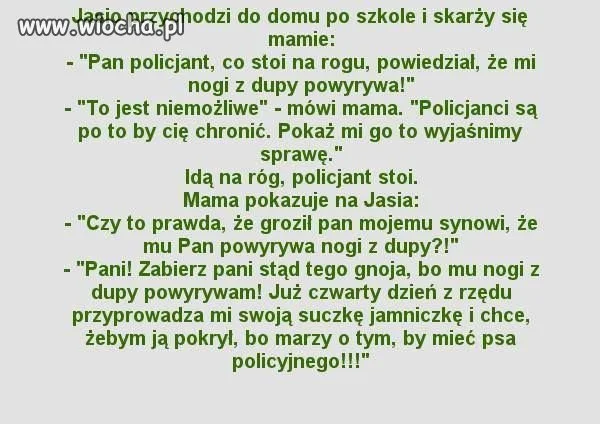 Pies policyjny