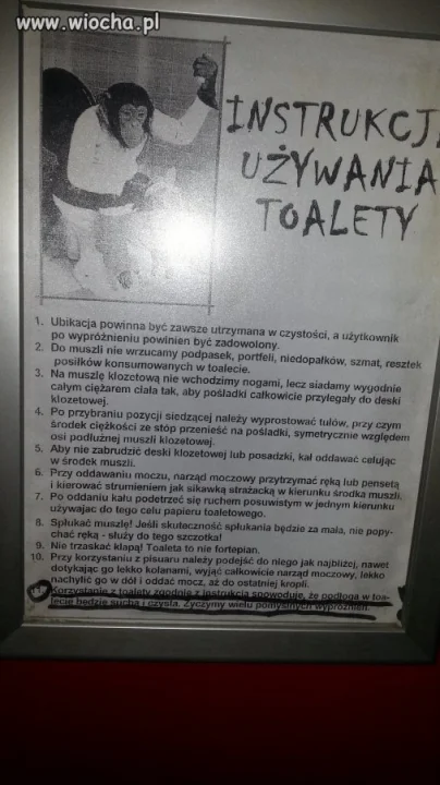Instrukcja używania toalety