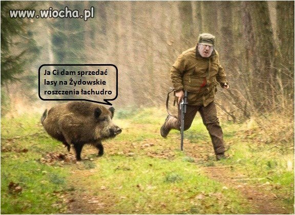 Też się poznały...
