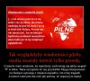 Współczesne media