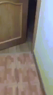 To młodego wkręcili haahh