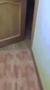 To młodego wkręcili haahh