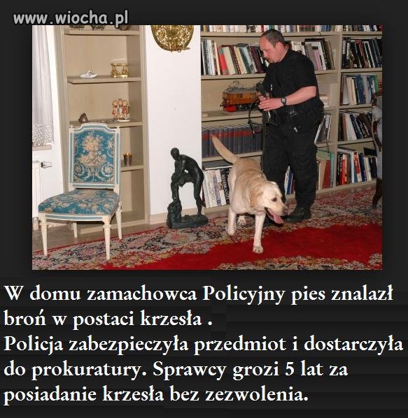 Policja przeszukuje dom zamachowca.
