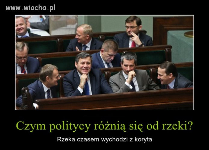 Złota myśl