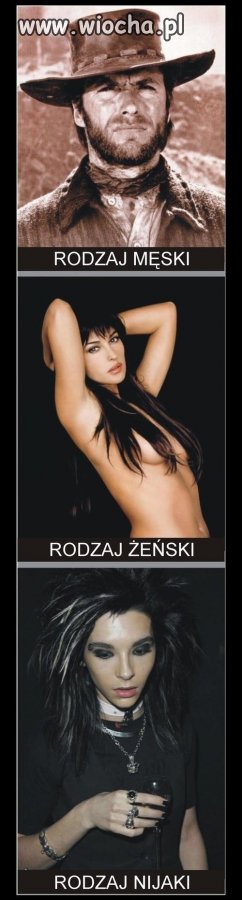 Język polski