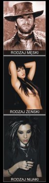 Język polski