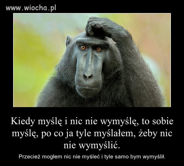 Myślenie...