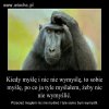 Myślenie...