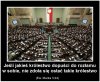 No jakby o Polsce pisali.