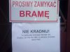 Nie kradnij 