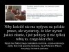 Absurd dla mnie, że wtrącają się