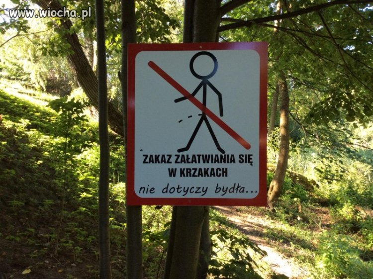 Zakaz załatwiania się w krzakach