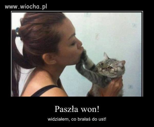 To się kotek pogniewał
