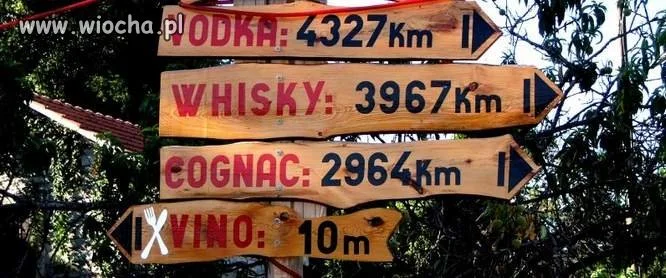 Długi czy krótki dystans ?