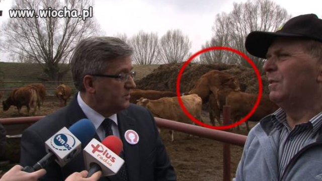 Jaki prezydent taka konferencja