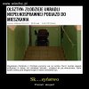 Złodzieju oddaj wózek! 