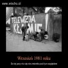 Nic się nie zmienia.