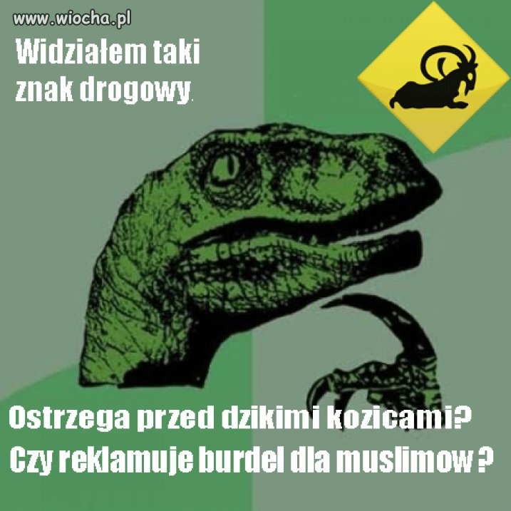Widziałem taki znak drogowy...