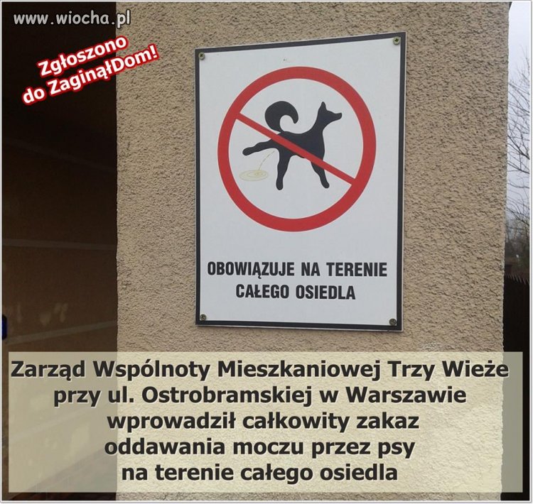 Co tu można