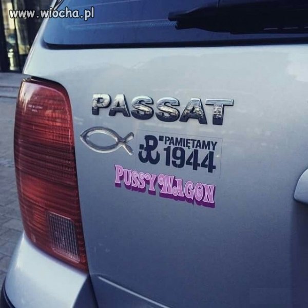 Debil z paska