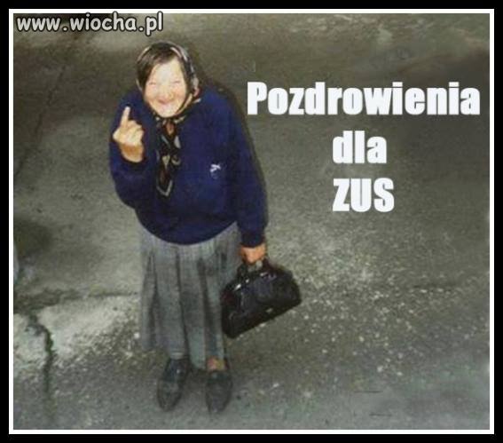 Pozdrowienia 