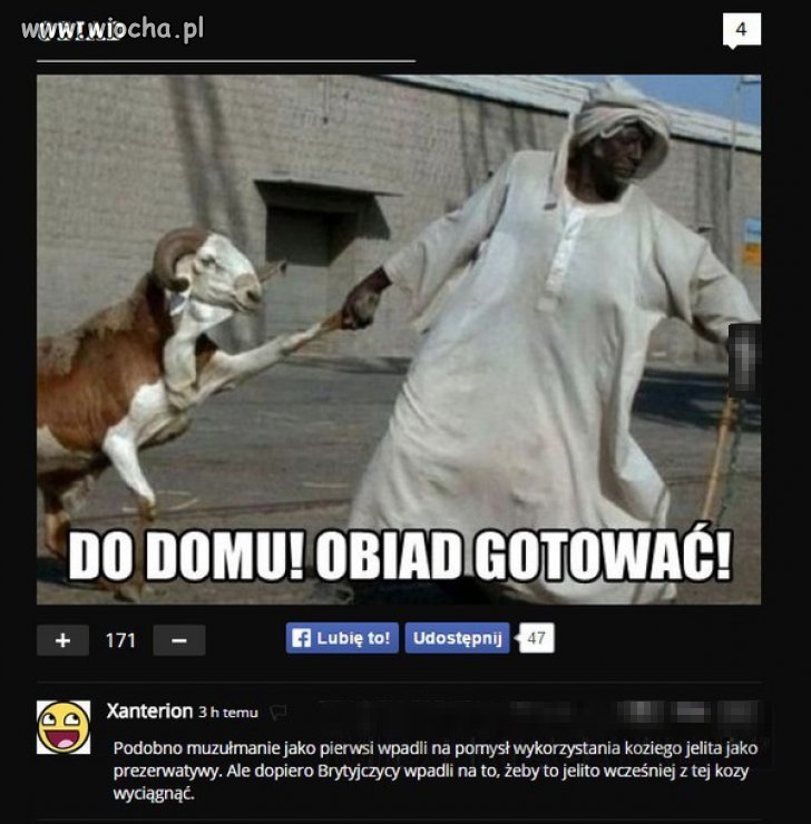Komentarz Mistrza 