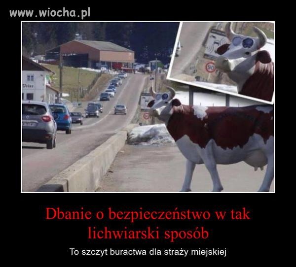 Fotokrowa