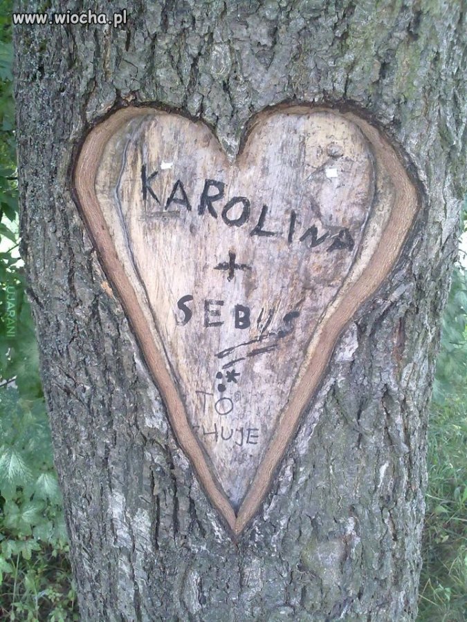 Na wieczną pamiątke