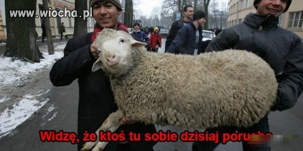 Ktoś na pewno