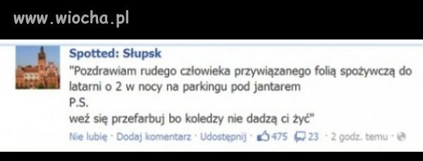 Gdyby to był sosnowiec