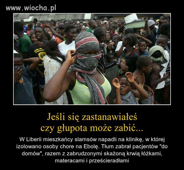 Za głupotę się płaci 