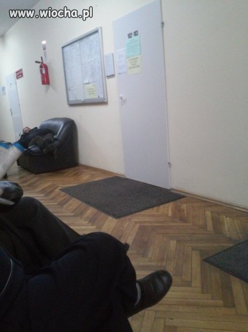 Tak się czeka w kolejce
