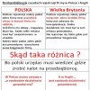 Zasady rejestracji firmy