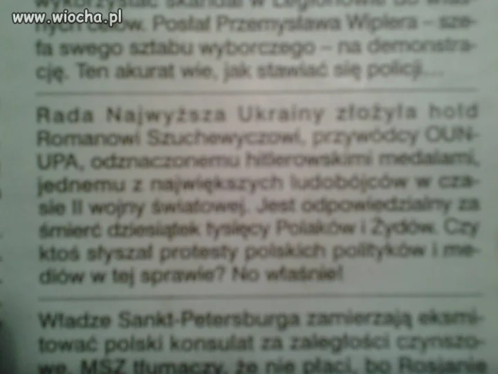 Nasi "bracia"...