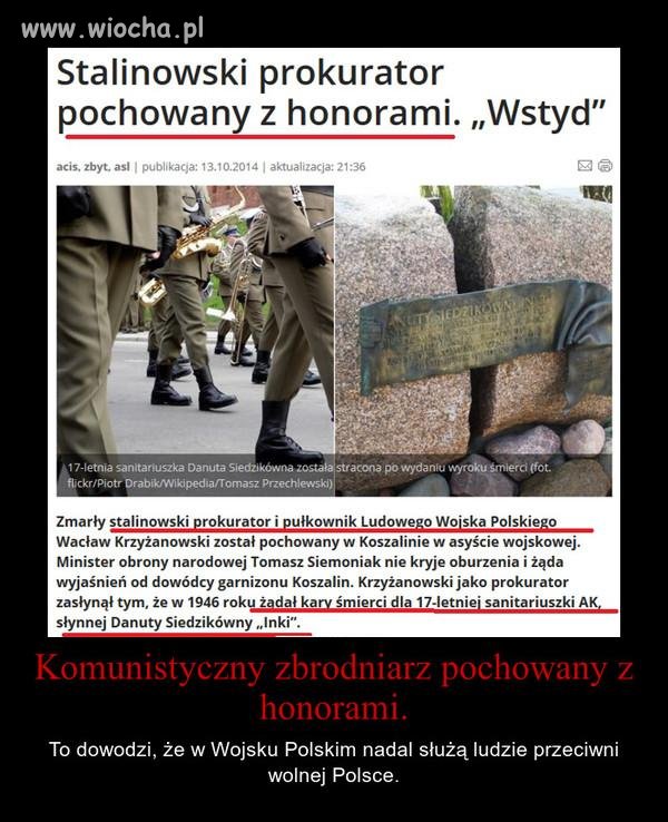 Bo to właśnie Polska