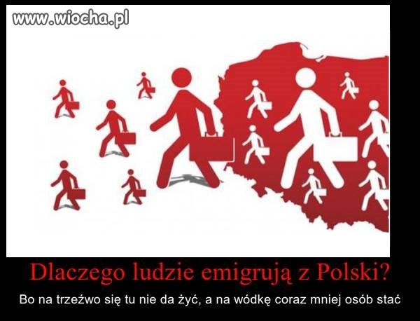 Czy nie tak 