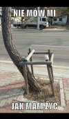 Nie mów mi jak mam żyć