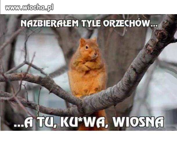 Wiosna!