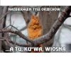 Wiosna!