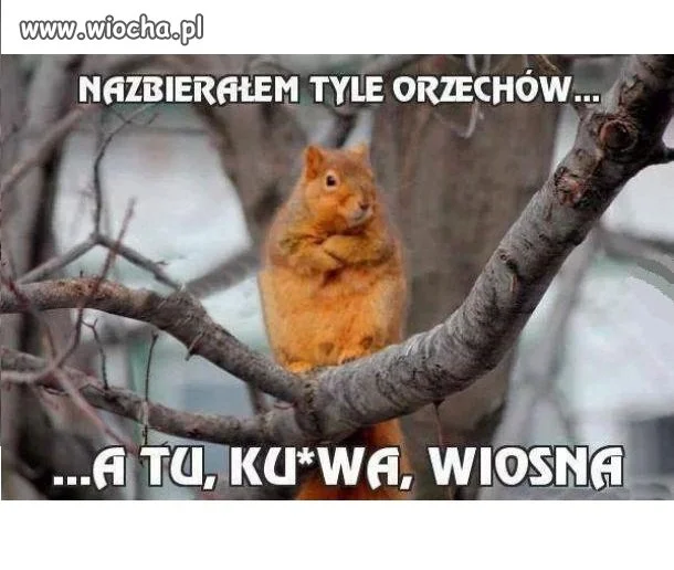 Wiosna!