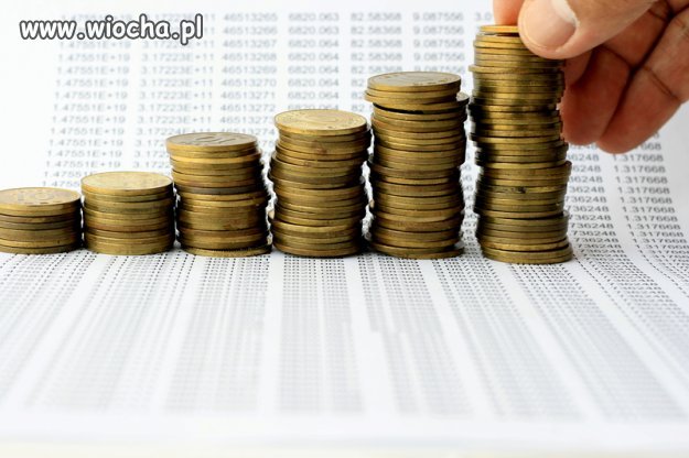 Podatki na poziomie 5% i Wizy dla obcokrajowców