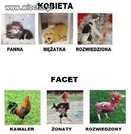 Kobieta vs facet