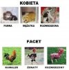 Kobieta vs facet