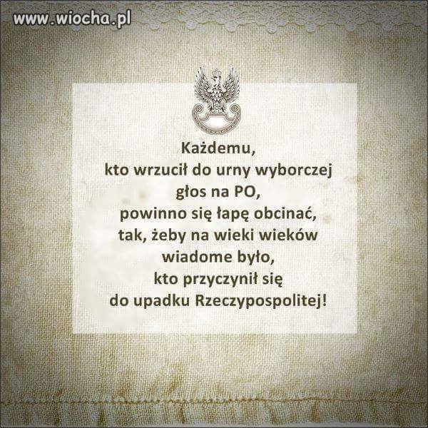 Wyborco...