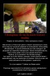 Niektórzy to naprawdę są idiotami