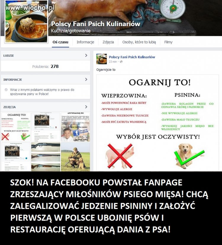 Fanpage zrzeszający fanów psiego mięsa! Bestie!