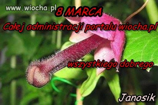  Korzystając z okazji...