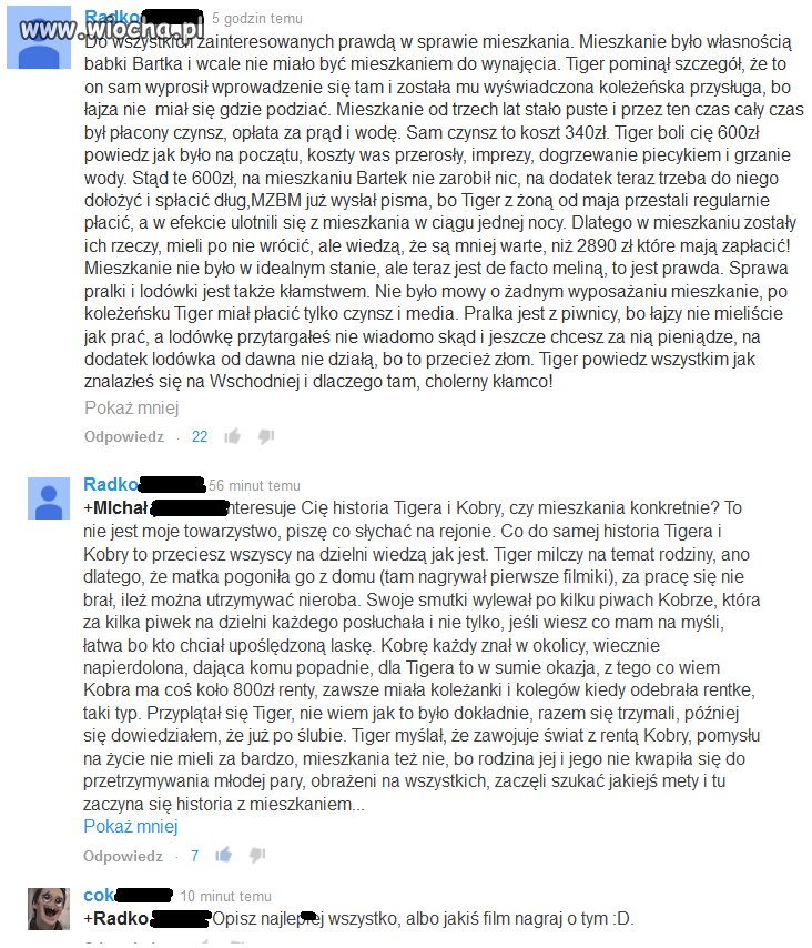 Prawda o Tigerze 