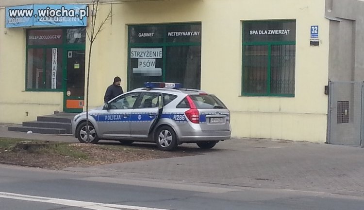 W SPA czy u fryzjera?