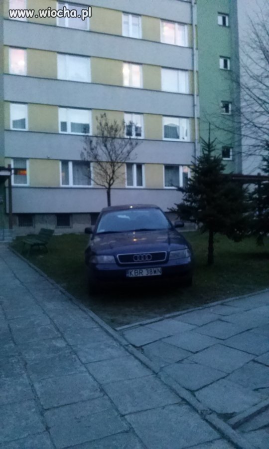 Osiedlowy Wieśniak z Brzeska